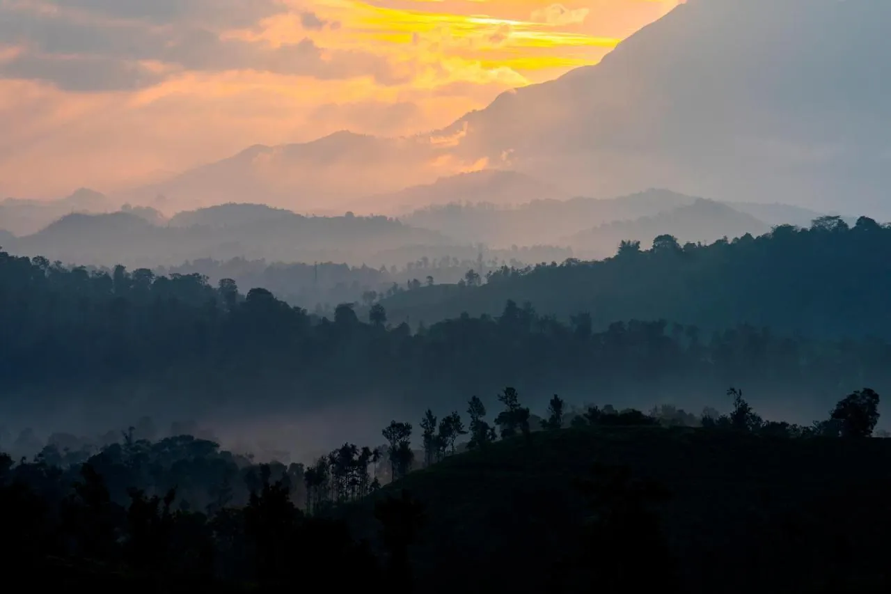 Zostel Homes Wayanad